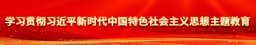 操艹bxx学习贯彻习近平新时代中国特色社会主义思想主题教育